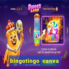 bingotingo canva pro gratis